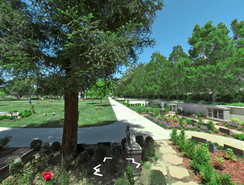 Tree-lined park path beside stone steps, lawn, and flower beds under a bright blue sky