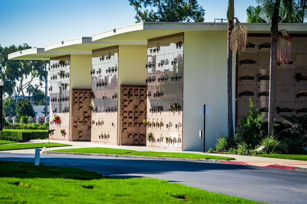 Modern building with curved roof and patterned walls beside a green lawn and driveway