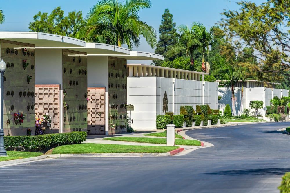 Palm-lined residential street with modern homes, white walls, and a curved driveway