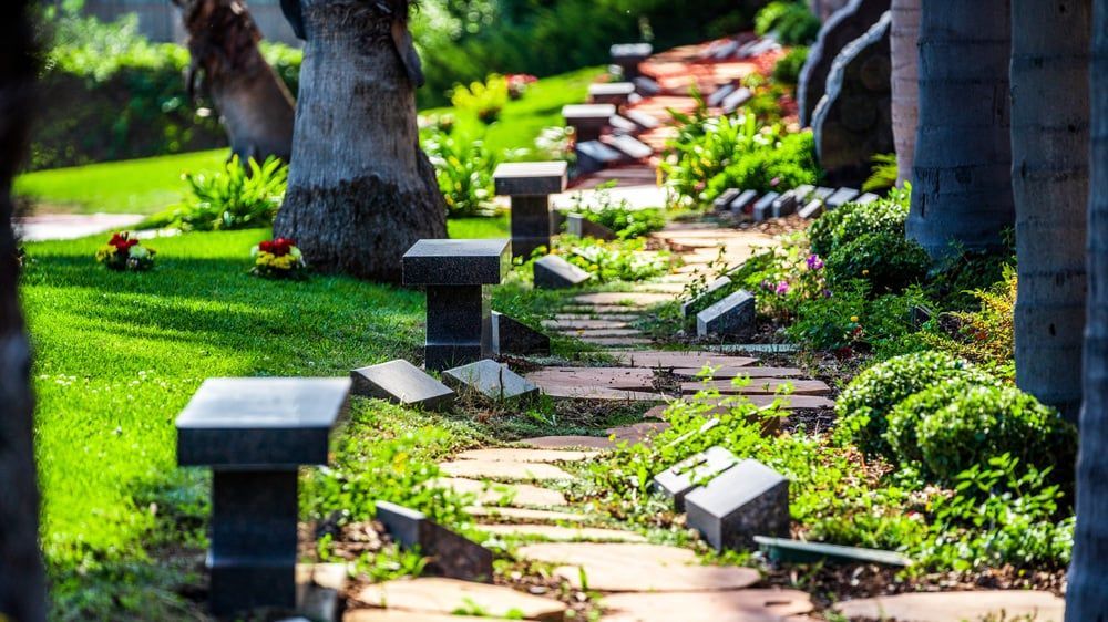 Sunlit garden path with stepping stones, black lanterns, and lush green plants beneath palm trees