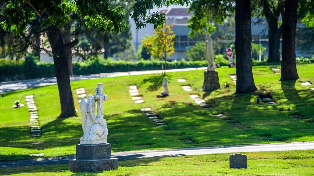 Sunny cemetery with gravestones, trees, and a white statue on a green lawn