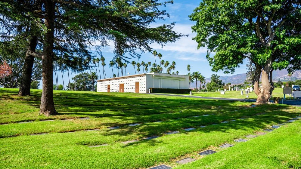 Sunny park with green lawn, tall trees, and a white building in the background