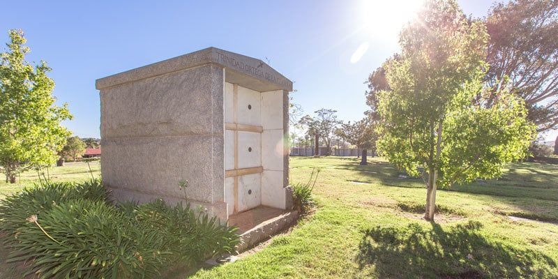 Small concrete shed with a white door in a sunny grassy orchard with trees