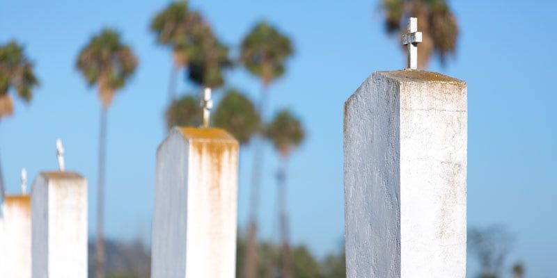 White concrete pillars with small metal tops in a sunny outdoor area, with palm trees blurred in the background