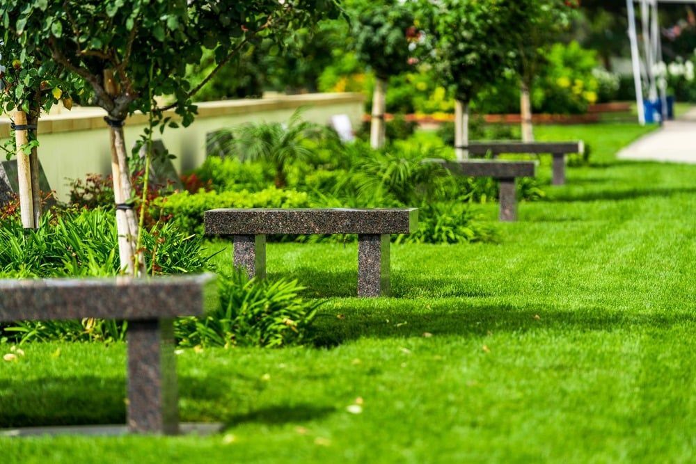 Stone benches along a bright green park path with trees and grass