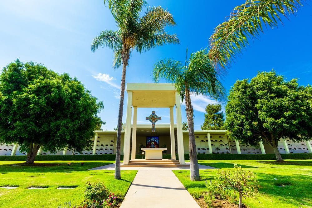 Sunlit campus building with palm trees and a walkway leading to the entrance