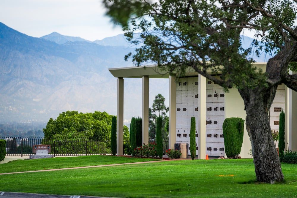 Modern building with columns on a green lawn, framed by trees and mountains in the background