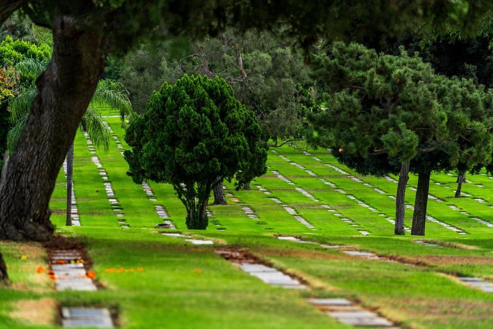 Green cemetery lawn with rows of flat gravestones and tall trees