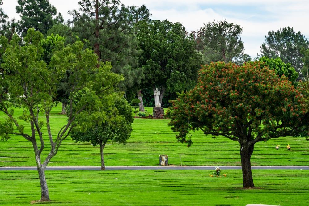 Image of green cemetery space, with trees, and monutments