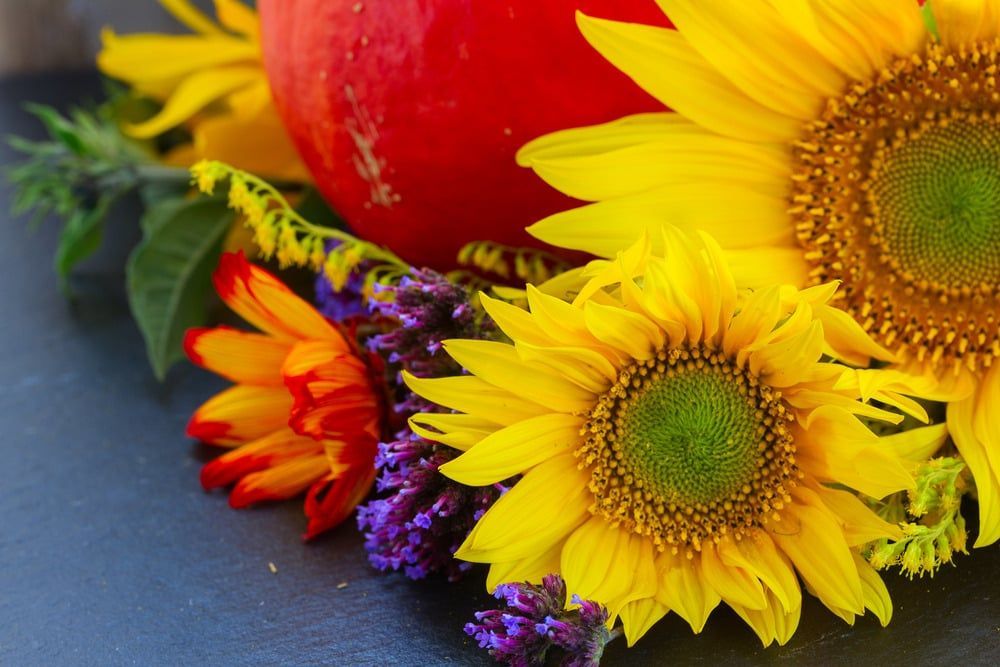 Sunflowers, red apple, and colorful autumn flowers arranged on a dark table