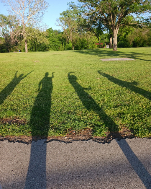Shadows of people on a grassy field with trees in the background. Sunny day.