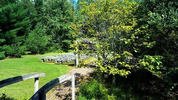 Wooden bridge leads to a clearing with benches, surrounded by trees.