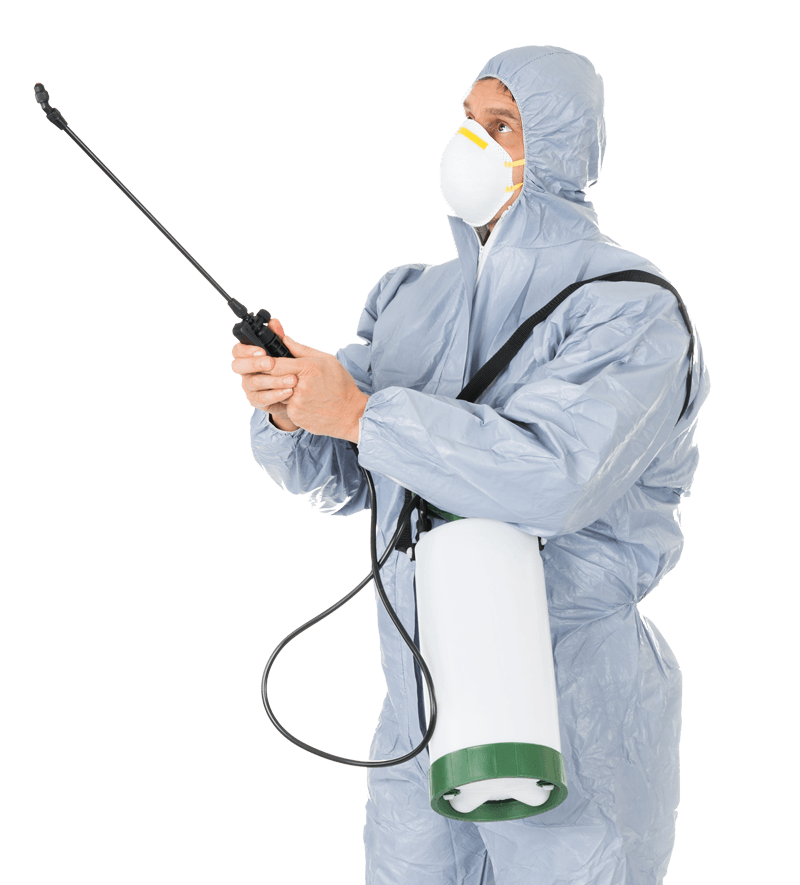 Our Story Ambush Pest Control, Inc.