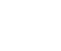 logo brand Alice Dotta