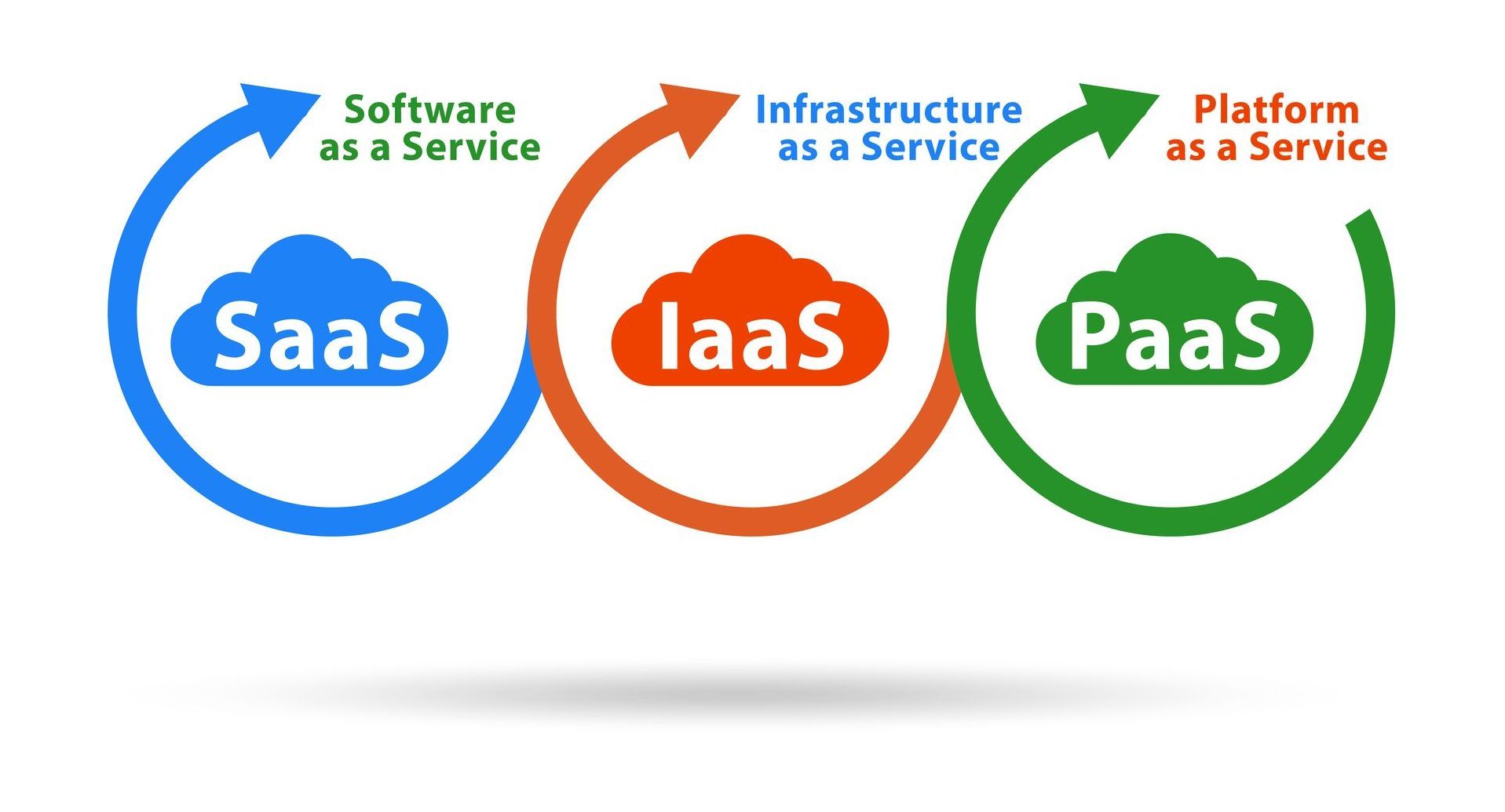 VETERINARIAN WITH DOG PROMOTING ONLINE MEMBERSHIP three circles with clouds and the words SaaS Software as a Service, IaaS Infrastructure as a Service and PaaS Platform as a Service...all specific technologies DEZINES provides to its clients