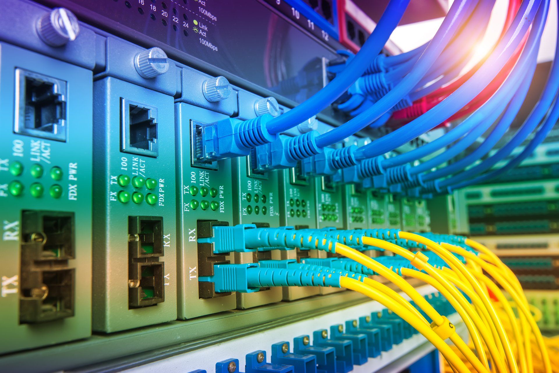 A bunch of blue and yellow wires are connected to a server