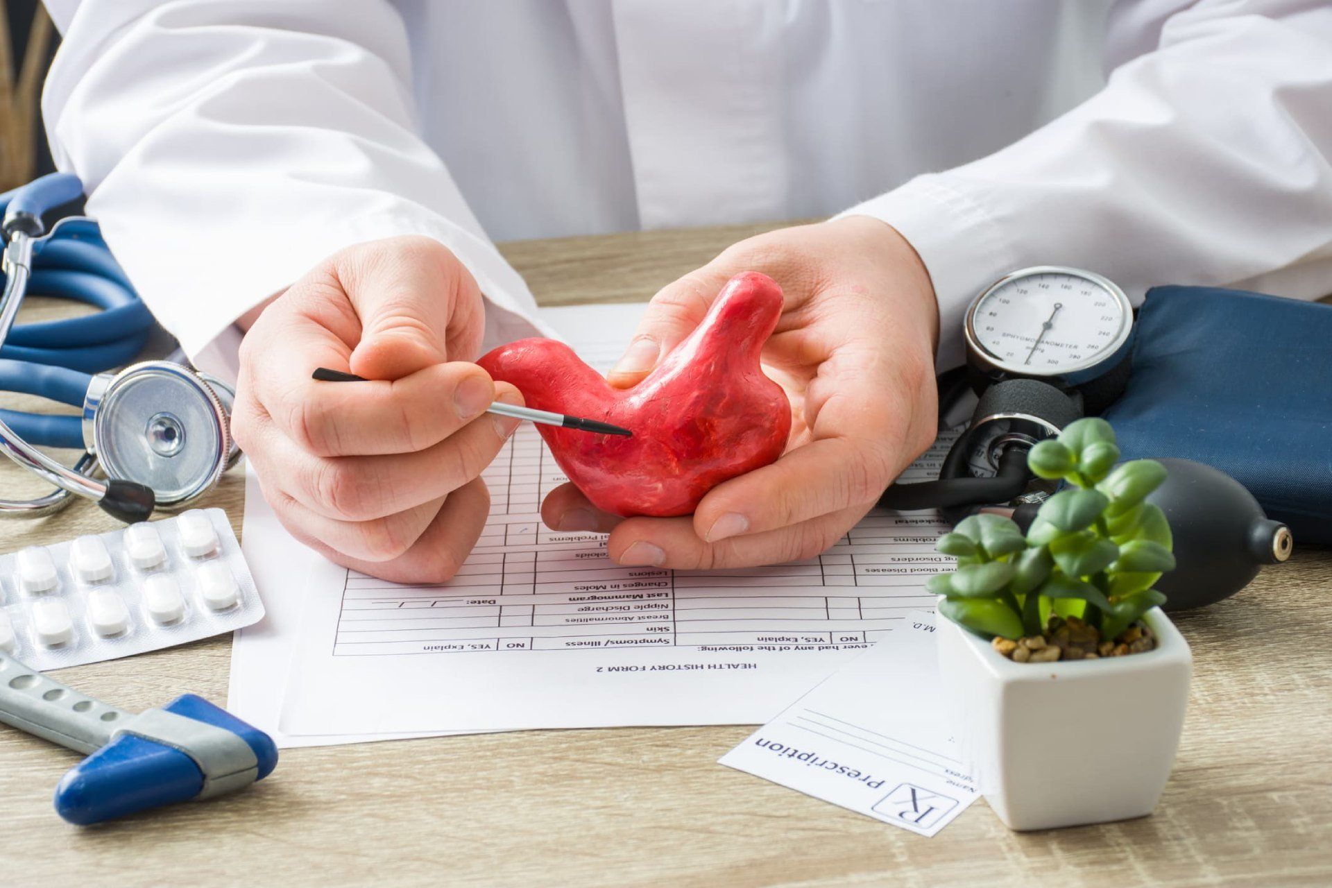Gastroenterologia