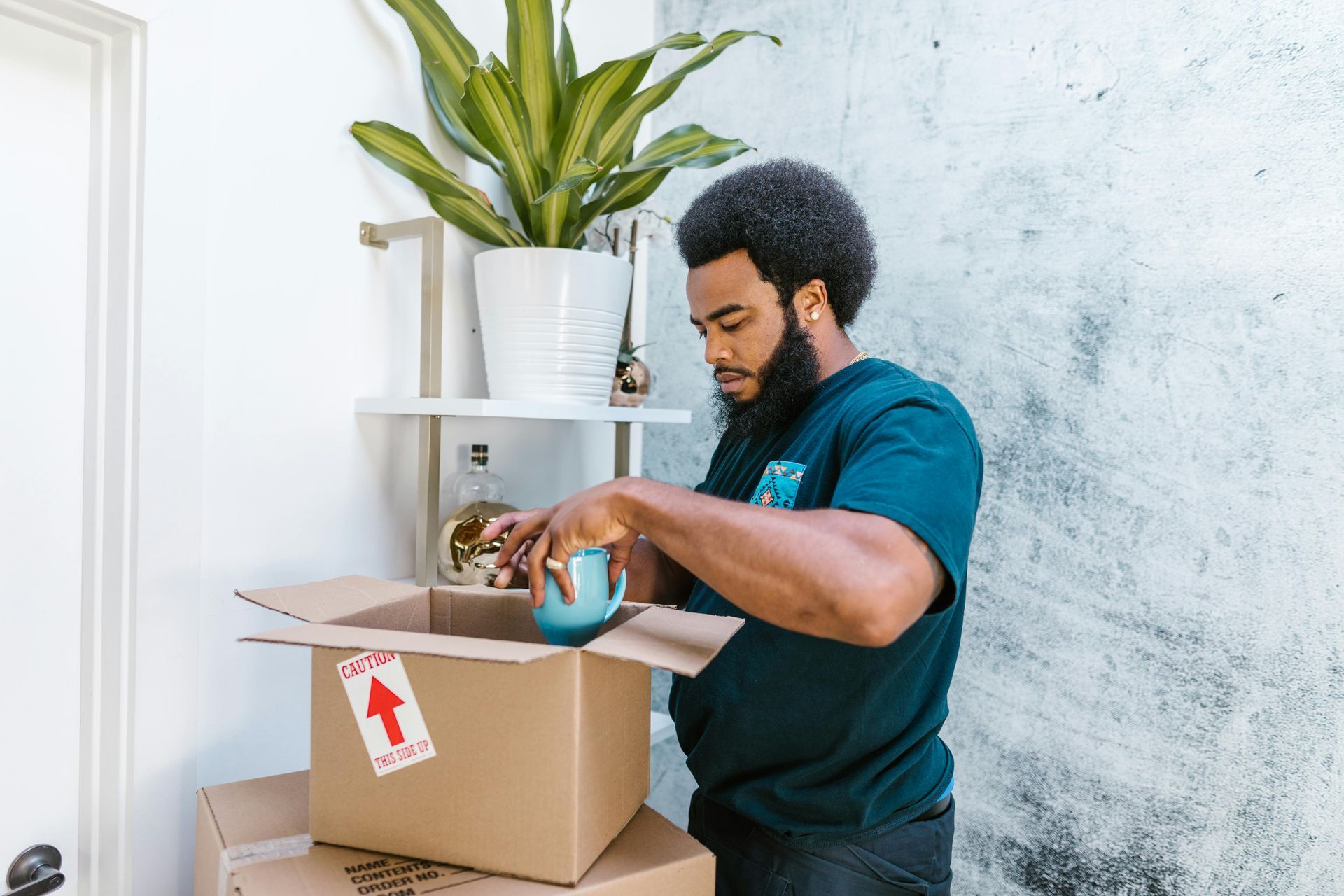 Man taping a cardboard box in a bright room beside a plant and shelves