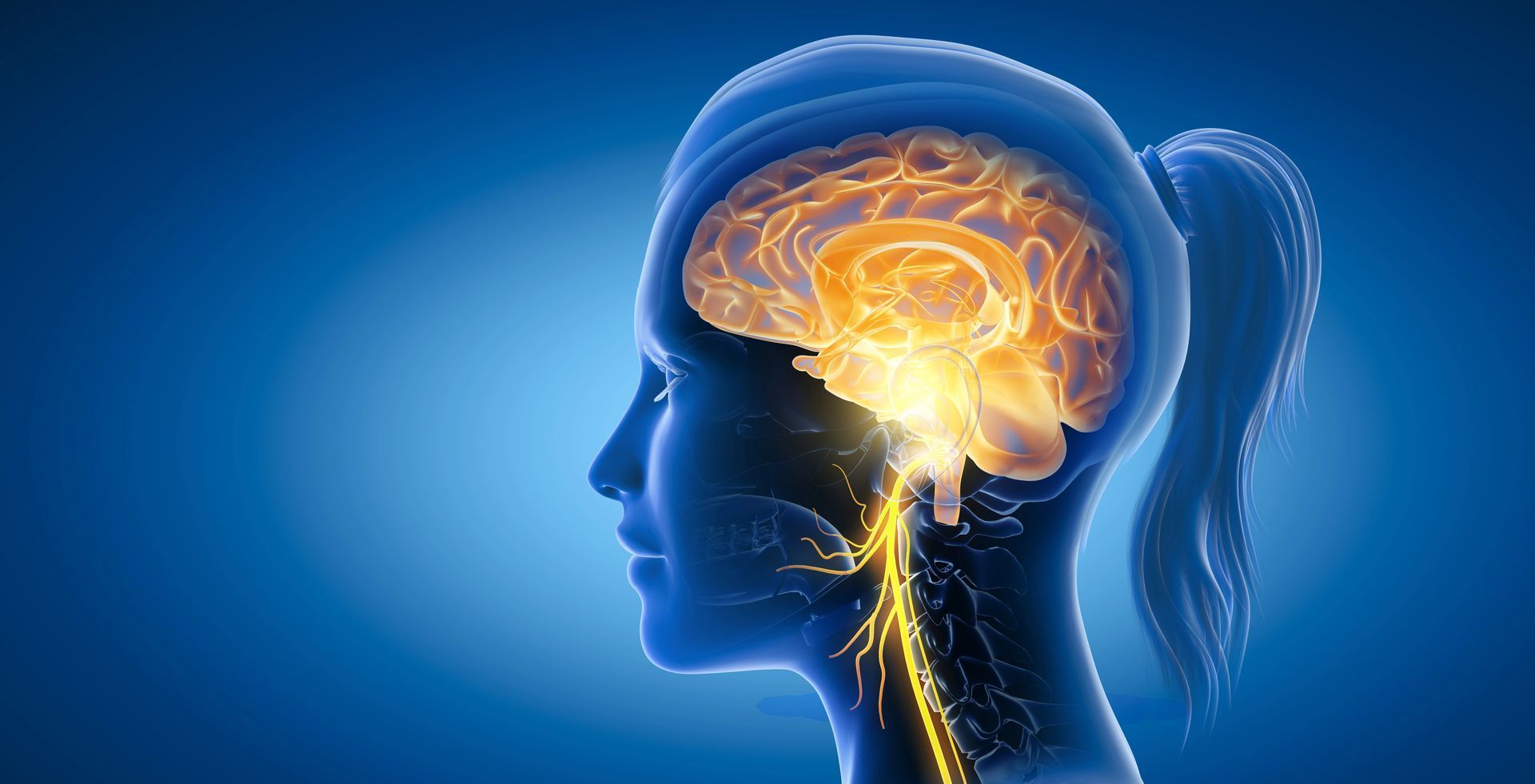A woman 's head with a glowing brain and nerves coming out of it.