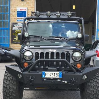 veicoli commerciali