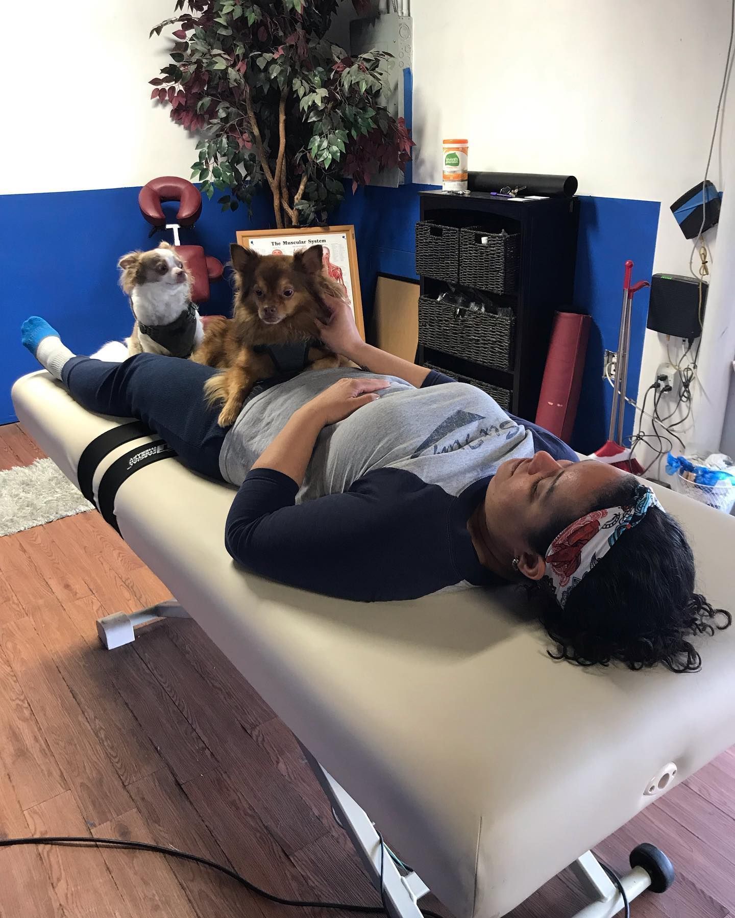 Person lying on a massage table with two small dogs in a room with a fireplace and plants