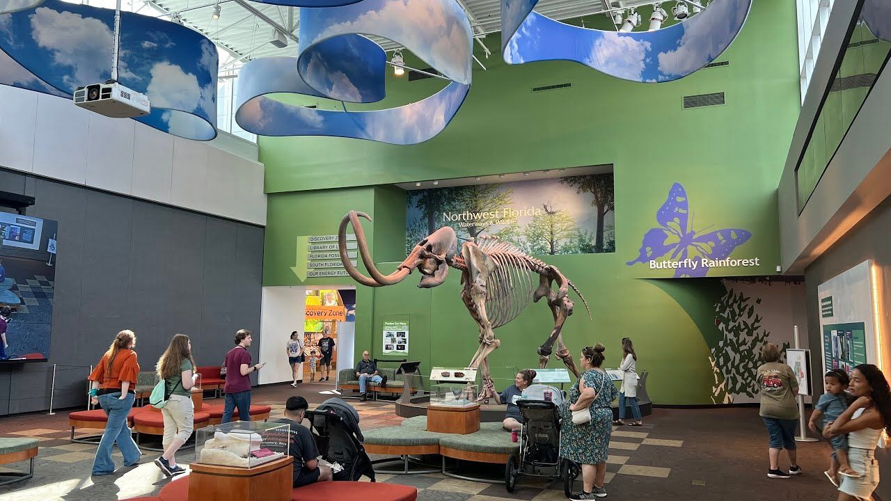 Museum hall with a large dinosaur skeleton exhibit and visitors seated and walking around it