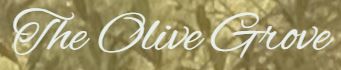carols-trips-upcoming-trips-image