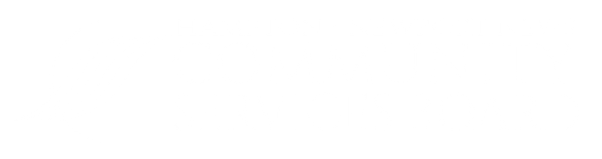 Hampton-Newport News Community Services Board