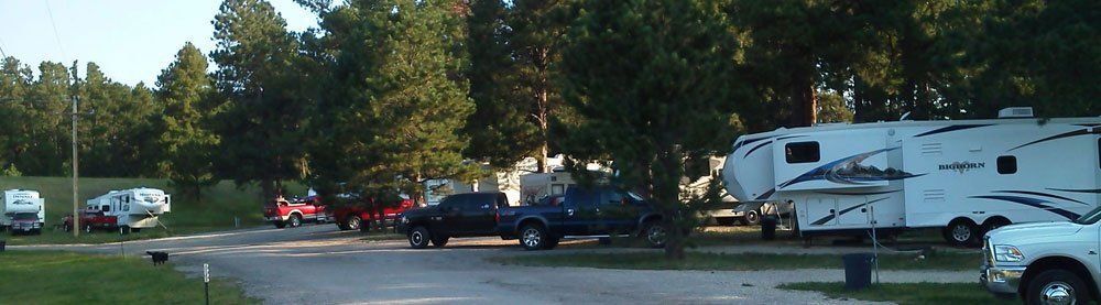 Parked cars and RVs in a campground