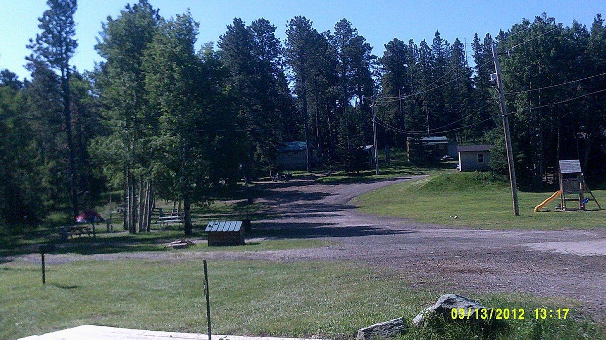Campground with pine tress