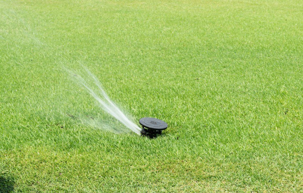 lawn sprinkler in action