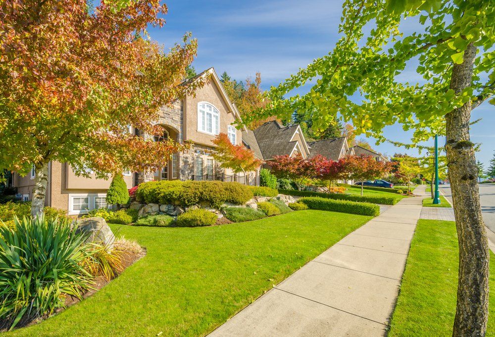 houses in suburb at spring