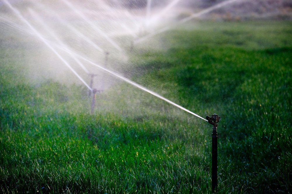 sprinklers waterlines in field for irrigation