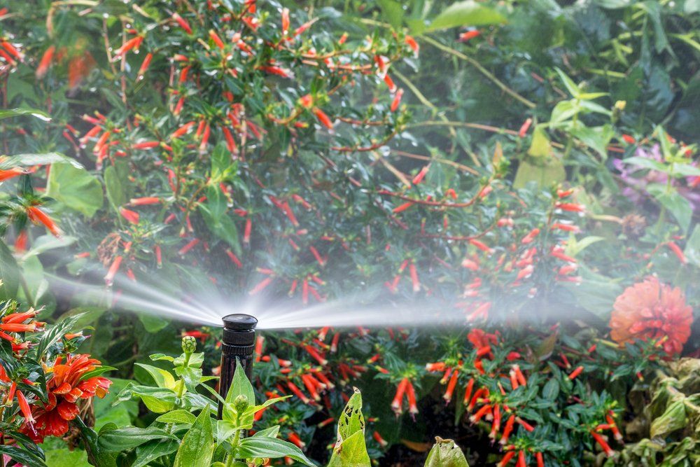 water sprinklers running in a garden with a variety of flowers