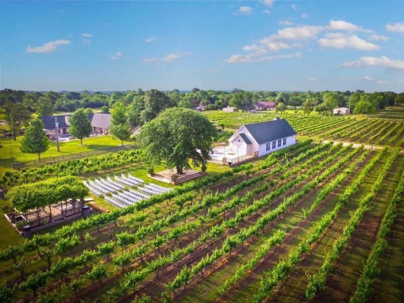 aerial view of vineyard wedding venue