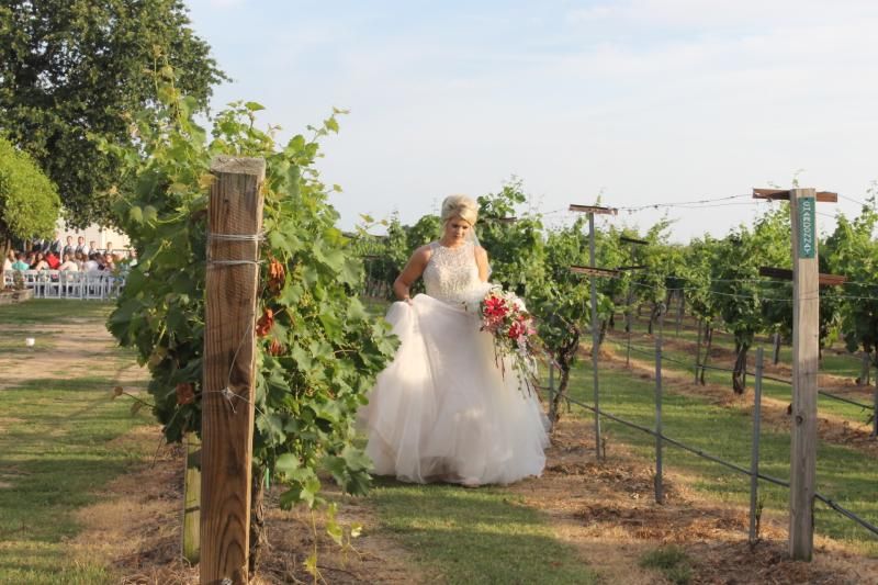 bride in vineyard
