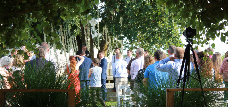 vineyard wedding