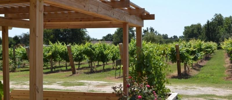 waddell vineyards