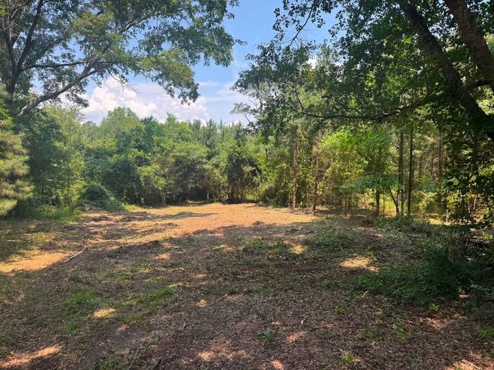 Cleared dirt path in a wooded area with green trees and sunlight filtering through the canopy