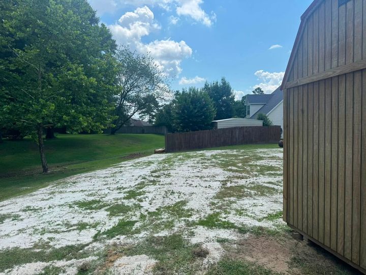 Snow-dusted backyard with grass, trees, a wooden fence, and a shed under a blue sky.