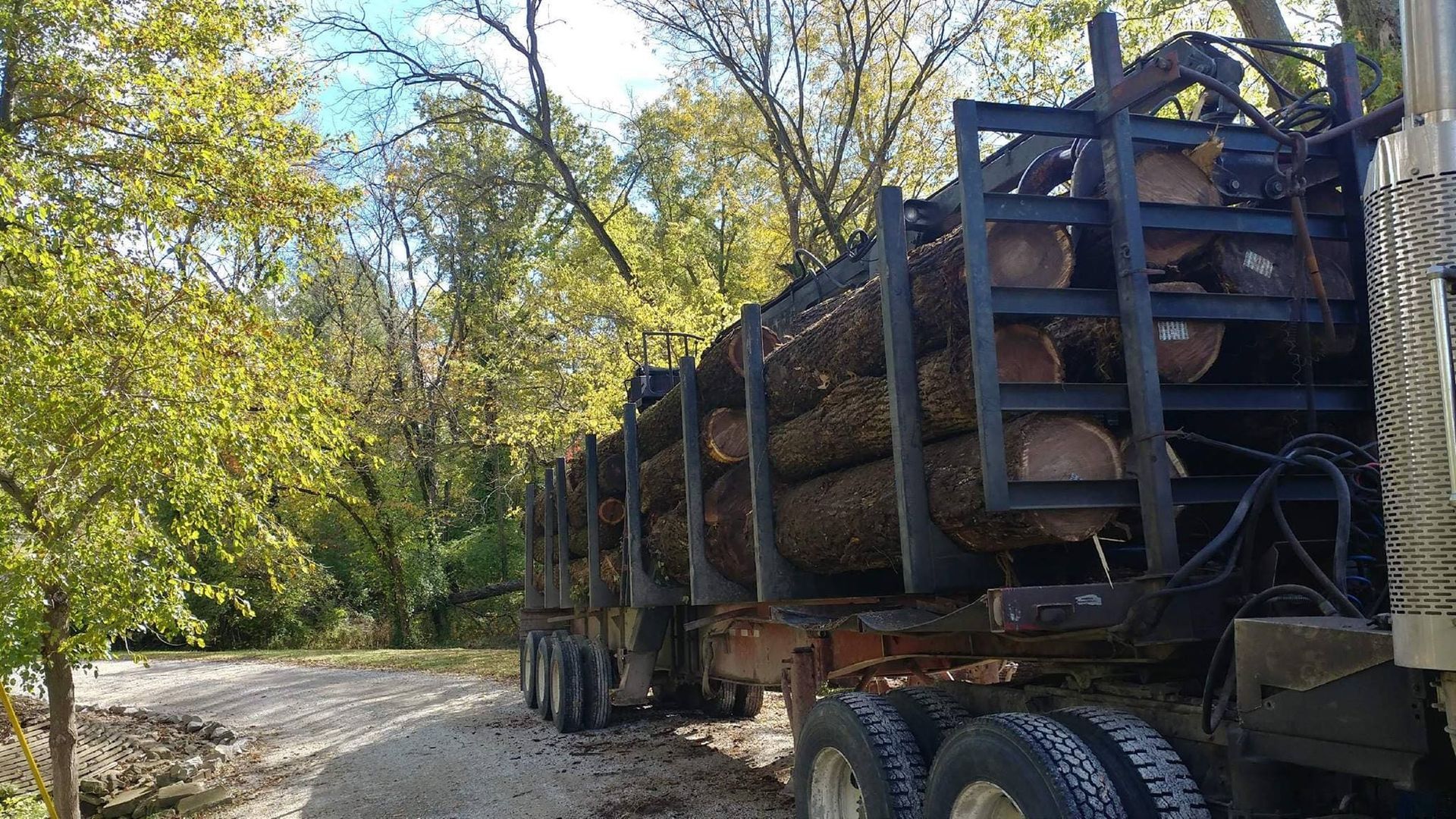 Logging truck loaded with tree logs on a gravel road, trees in the background.