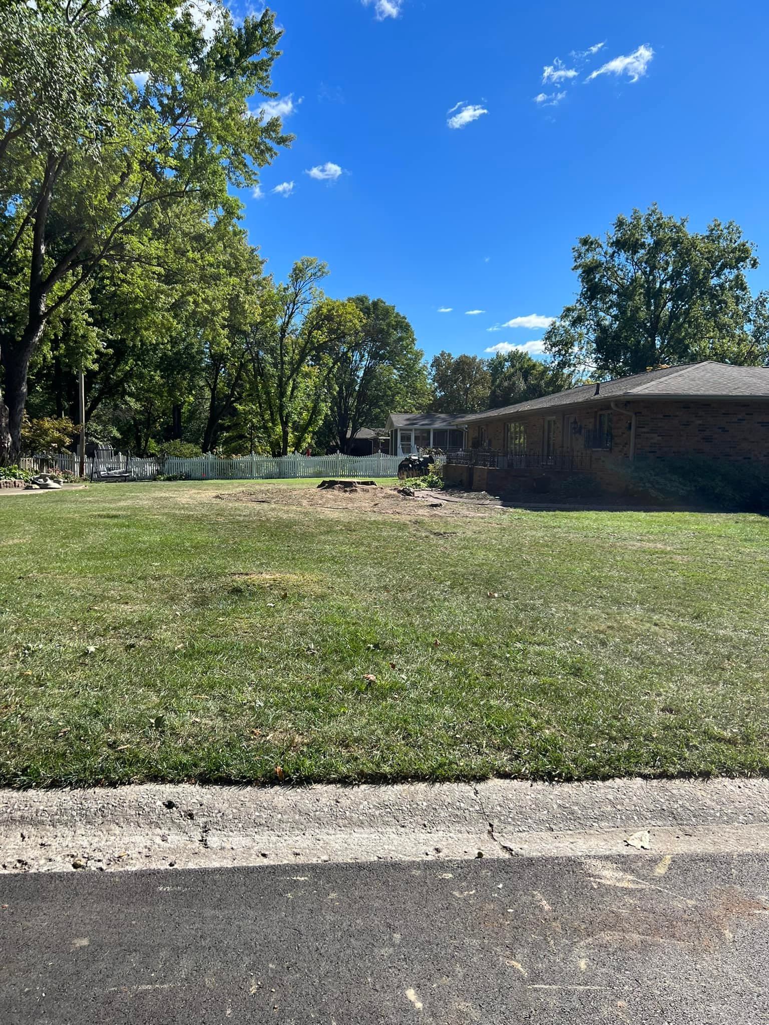 Lawn with a small cleared area, a brick house, trees, and blue sky.