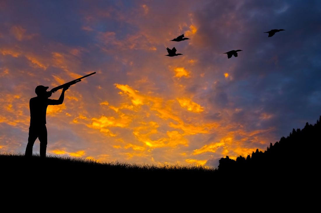 Silhouette di una persona che punta un fucile contro degli uccelli contro un cielo arancione intenso al tramonto.