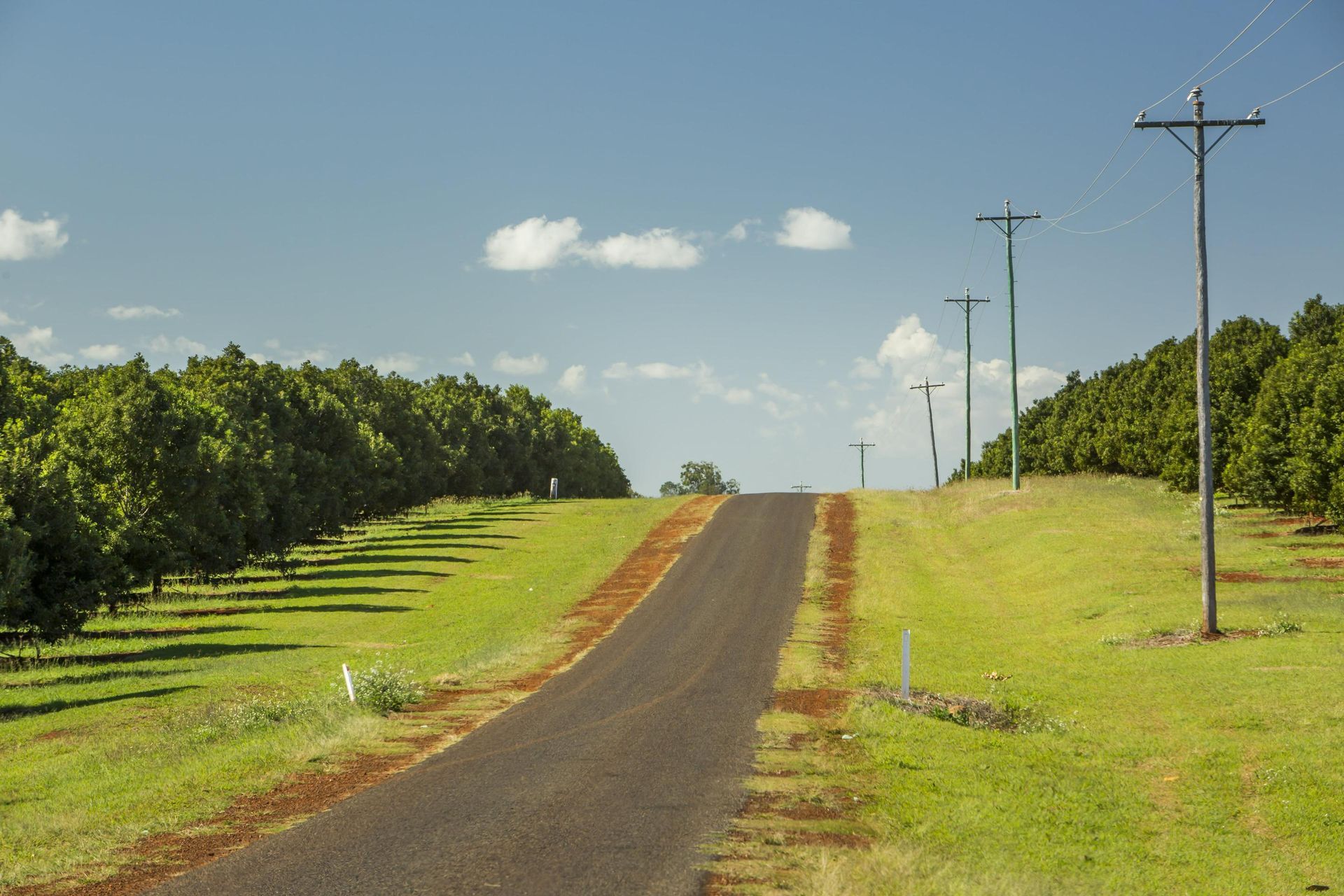 Road Going Through a Grassy Field With Trees on Both Sides — Classic Design & Print in Bundaberg, QLD