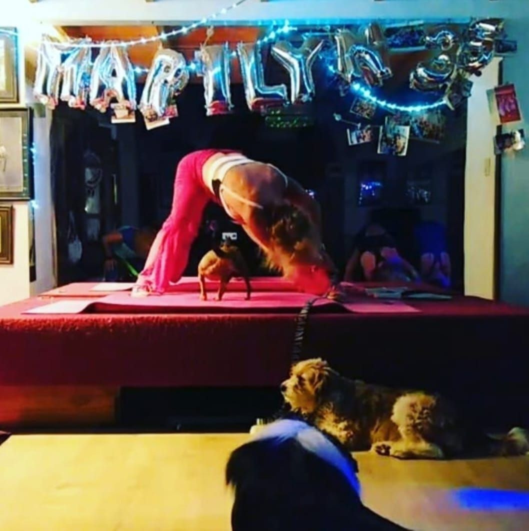 Una persona haciendo una postura de yoga sobre un escenario, con globos y dos perros en primer plano.