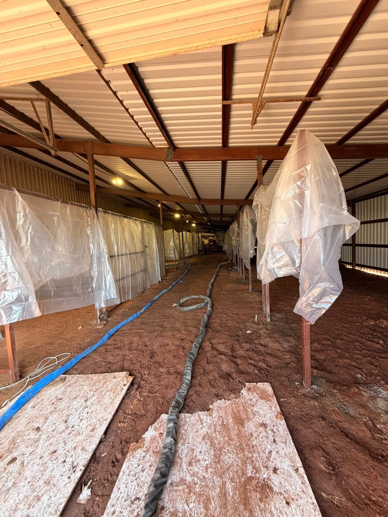 Plastic-covered livestock barn interior with dirt floor, metal beams, and hoses running down the center.