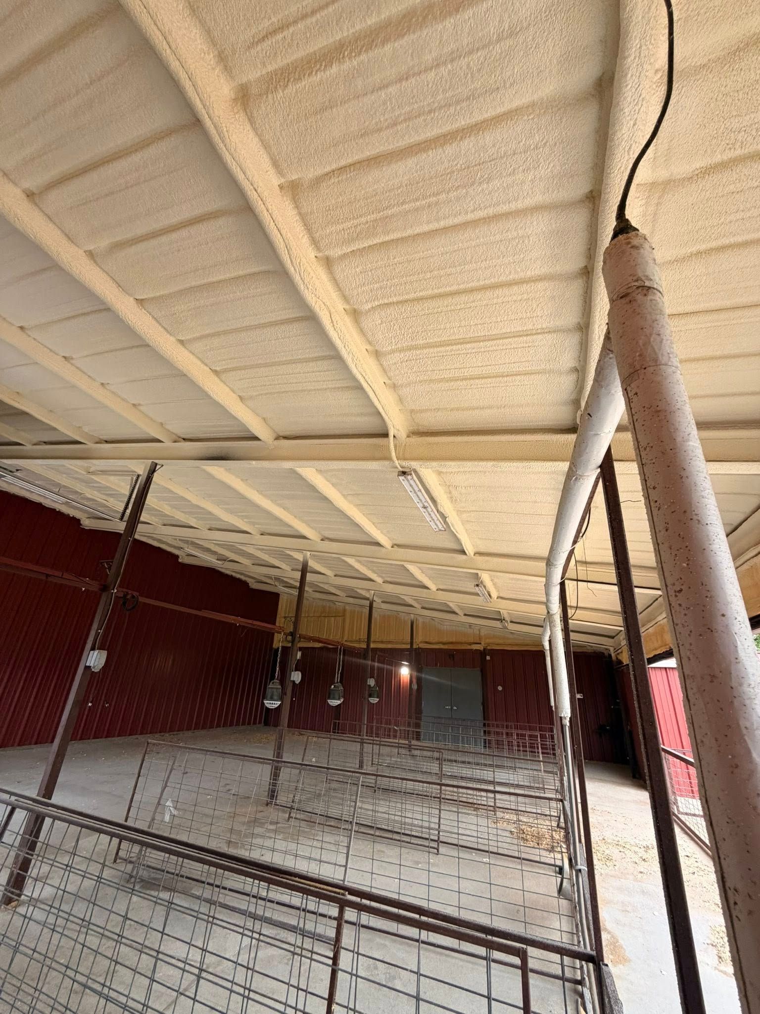 Inside a covered outdoor cage, with chain-link fencing, red walls, and a beige roof overhead.