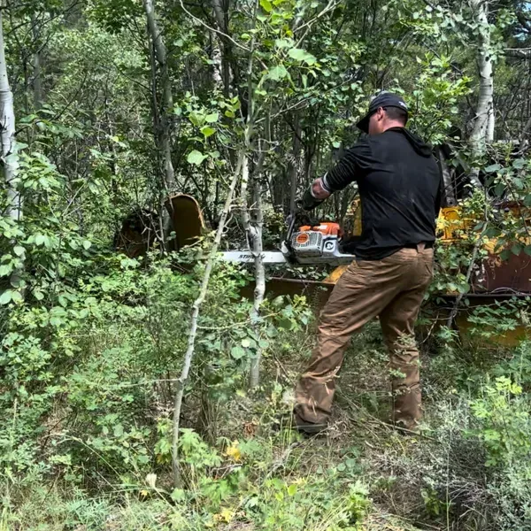 a man is cutting a tree with a chainsaw in the woods .