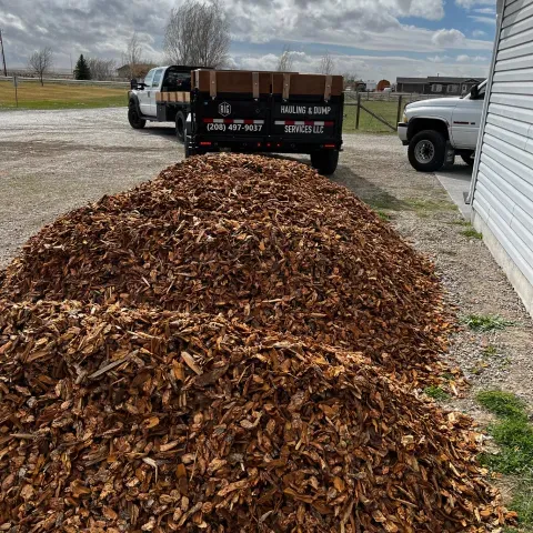 a pile of wood chips is sitting next to a truck .