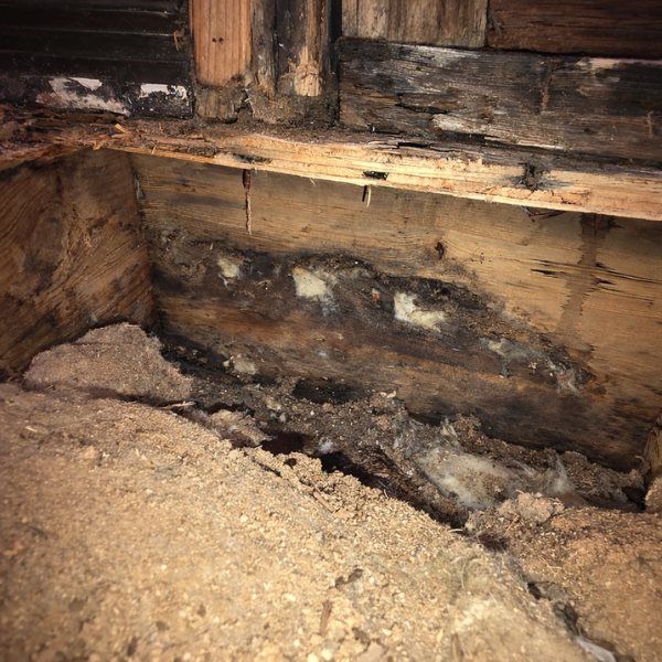 Decomposed wood and debris in a dark, damp corner, likely indicating rot or water damage.